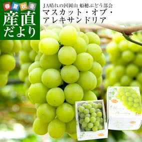 楽天市場 ブドウ 人気ランキング1位 売れ筋商品 楽天市場 ブドウ 人気ランキング1位 売れ筋商品